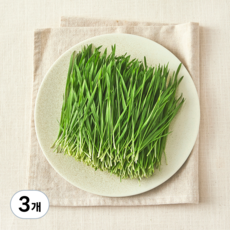 국내산 친환경 밀순, 50g, 3개
