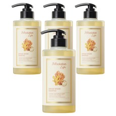 제이엠솔루션 라이프 진저 우드 샴푸 무화과 향, 4개, 500ml