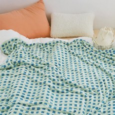 쁘리엘르 오즈와플 극세사 담요