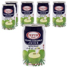 TEPTIP 椰子汁, 含椰果肉, 310ml, 6罐