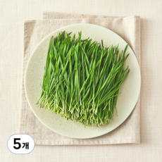 국내산 친환경 밀순, 50g, 5개
