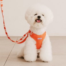 펫츠랜드 강아지 하트팝 하네스 + 핸즈프리 리드줄 세트, 탠저린 오렌지, 1세트
