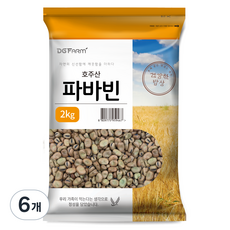 건강한밥상 파바빈, 2kg, 6개