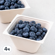 산지직송 아주마 유기농 인증 영동 블루베리, 250g, 4팩