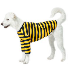 LuckyPetter 寵物基本款條紋T恤, 黃色 + 海軍藍, 1個