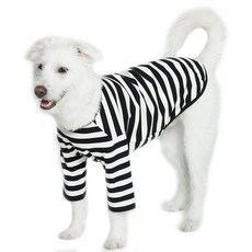 LuckyPetter 寵物基本款條紋T恤, 白色 + 黑色, 1個