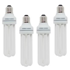 錦湖三波長EL 25W 6500K燈泡, 晝光色, 1個