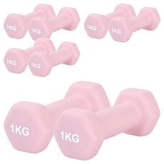 리브스포 논슬립 아령, 1kg, 8개