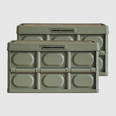 JINSIMGAMSUNG 多用途折疊收納箱, 抹茶綠, 2入