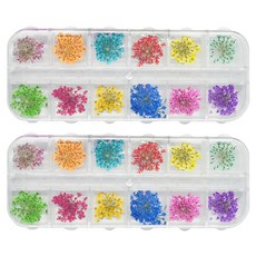 Varna 乾燥花滿天星美甲飾品組, 2個, 混合色