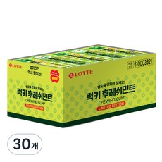 롯데웰푸드 후레쉬 민트 껌, 26g, 30개