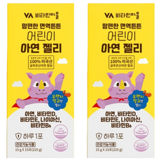 Vitamin Village 孩童用鋅果凍隨身包 15條入, 15條, 2盒