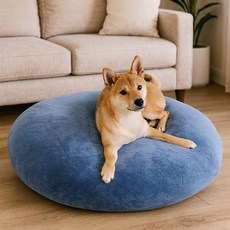 펫코노미 반려동물 찹쌀모찌 필로우 쿠션, 블루, 1개