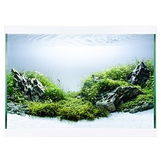 Mobydick 36 纖薄 現代 魚缸 + 蓋子, 1組, 白色的