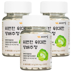 Vitamin Village 胃舒適偉大的高麗菜萃取物, 200片, 3個