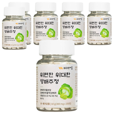 Vitamin Village 胃舒適偉大的高麗菜萃取物, 200片, 6個