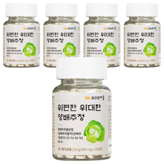 Vitamin Village 胃舒適偉大的高麗菜萃取物, 200片, 5個