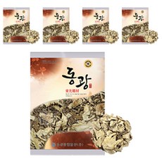 동광한방몰 참당귀, 100g, 5개
