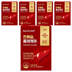 뉴트리디데이 칸씨슬 콜레케어 48g, 60정, 5개
