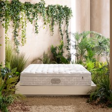 리바트 Signature 매트리스 스프링 미디엄 방문설치, 라이트그레이, 320mm