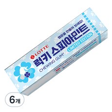 롯데웰푸드 스피아민트 츄잉껌, 26g, 6개