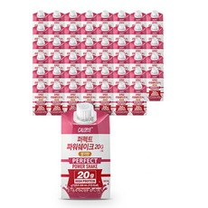 칼로바이 퍼펙트 파워쉐이크 20G 마시는 프로틴 음료 딸기맛, 48개, 250ml