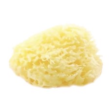 nIZio 希臘天然絲綢海棉 中大型, 黃色, 1個