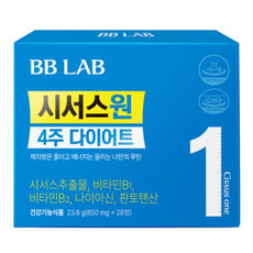 비비랩 뉴트리원 시서스원 23.8g, 28정, 1개 헬스_건강식품/다이어트/이너뷰티 반품 최저가 58,410원