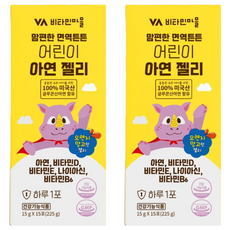 비타민마을 맘편한 면역튼튼 어린이 아연 젤리, 15회분, 2개