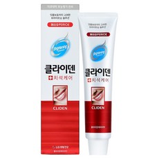 클라이덴 페리오 치석케어 치약, 120g, 1개