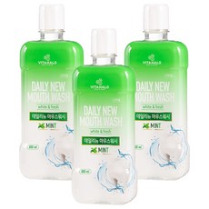 비타할로 데일리뉴 마우스워시 민트, 800ml, 3개