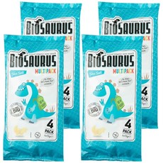 바이오사우르스 유기농 씨쏠트 스낵, 60g, 4개