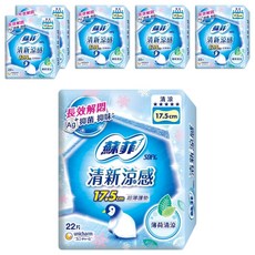 SOFY 蘇菲 清新涼感清涼薄荷護墊, 17.5cm, 22片, 6包