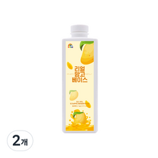 레인보우 리얼 망고 베이스 1kg