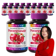 홀리데이즈 프리미엄 석류 타블렛 90정, 45g, 20개
