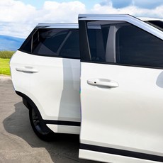 SOTT 프리미엄 PVC 자동차 문콕방지 몰딩 도어가드, 오로라실버, 1개