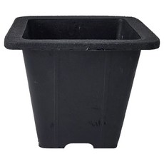 正方形花盆, 黑色