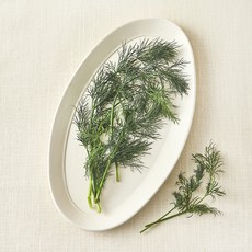 유기농 딜, 10g, 1봉