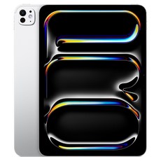 Apple 2025 아이패드 프로 11(M5 모델) 스탠다드 글래스, 실버, 256GB, Wi-Fi