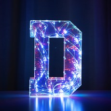 아트조이 LED 홀로그램 레터링 파티용품, 알파벳D, 1개