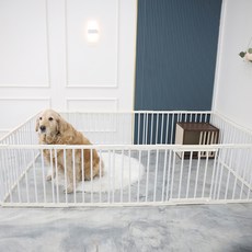 21C Trend 狗狗安全門 圍欄 穩固門 16片, 白色