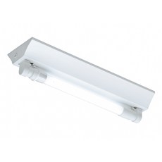 TOA 東亞照明 T8 山型燈具 1尺單管 含管, 晝光色, 1盒