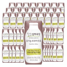 상하목장 유기농 코코아 우유, 125ml, 48개