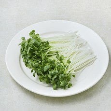 친환경 무순, 1개, 30g