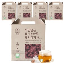 자연담은티 돼지감자차 티백, 1g, 100개입, 5개