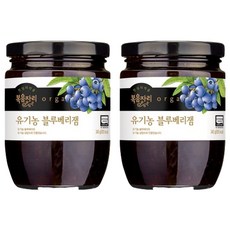 복음자리 유기농 블루베리잼, 340g, 2개