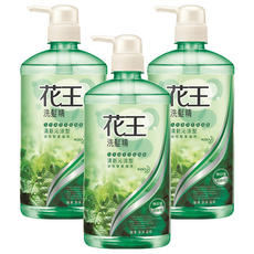 Kao 花王 洗髮精 清新沁涼型 溫和洗淨 柔順不打結 清爽不黏膩 油性髮質適用, 750ml, 3瓶