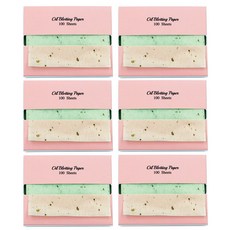 VARUZA 綠茶吸油麵紙補充包, 100枚入, 6個