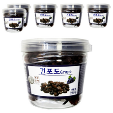 로얄푸드 건포도 용기, 250g, 6개