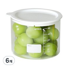 리본제이 듀오 컨테이너 내열유리 밀폐용기, 6개, 500ml